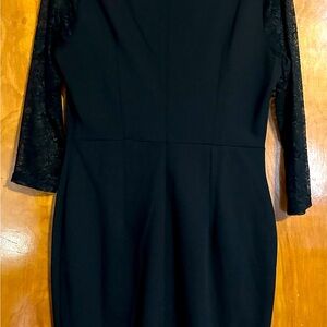Elegant Black Lace Sleeve Dress